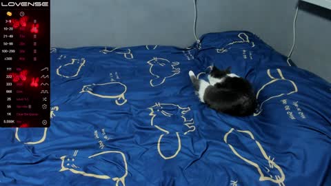 Eva online show from January 12, 2025, 1:58 pm