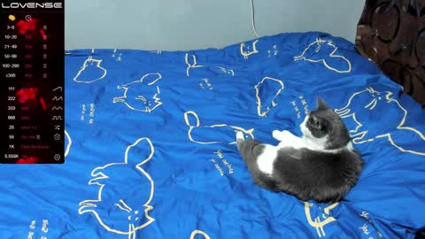 Eva online show from January 17, 2025, 1:03 pm