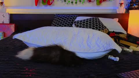 Eva online show from December 8, 2024, 4:25 am