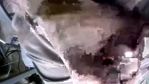 Snapshot of eveline_figeroa3 chatting on June 25, 2026, 10:31 am eveline_figeroa3 online show from June 25, 2026, 10:31 am