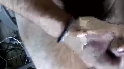 Snapshot of eveline_figeroa3 chatting on June 26, 2026, 1:21 am eveline_figeroa3 online show from June 26, 2026, 1:21 am