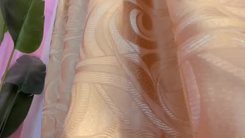 evelyn__rose1 online show from March 8, 2026, 2:04 am