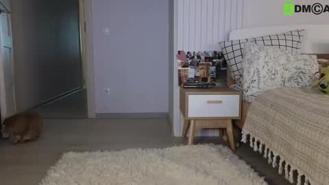 evi_woow online show from February 22, 2025, 5:13 pm