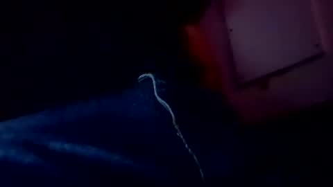 Evocation online show from February 3, 2025, 4:57 am