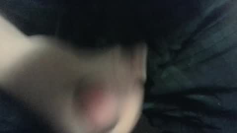 evolite_ online show from February 14, 2025, 7:49 am