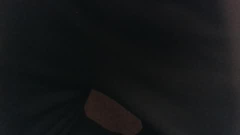 evolite_ online show from February 17, 2025, 5:36 am