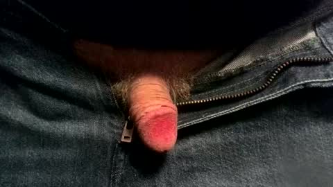 evolite_ online show from November 19, 2025, 6:13 am