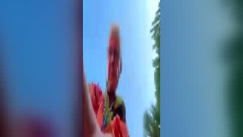Snapshot of exhibapoil chatting on July 2, 2026, 6:30 am exhibapoil online show from July 2, 2026, 6:30 am