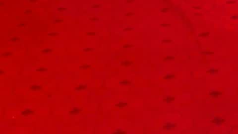 Alana online show from December 9, 2024, 12:12 am