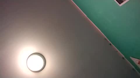 experttreecompany online show from February 16, 2026, 8:43 am