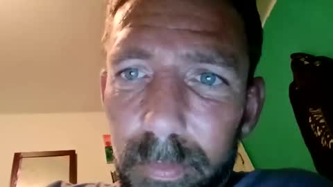 experttreecompany online show from March 23, 2026, 2:26 am