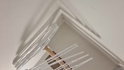 eyyoboobo0 online show from April 17, 2026, 11:08 pm