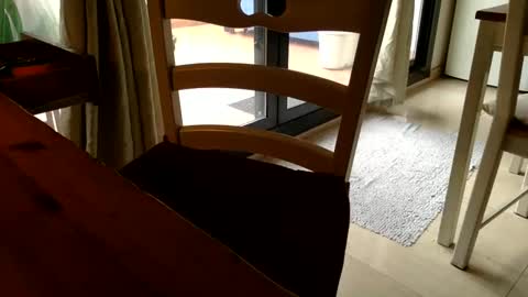 Fabro online show from March 6, 2025, 3:13 pm