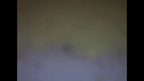 fafafa923 online show from January 12, 2025, 11:15 pm