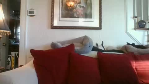 fairmount31 online show from January 7, 2025, 1:46 pm