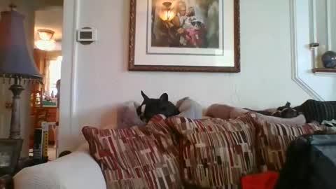 fairmount31 online show from February 19, 2025, 7:16 pm