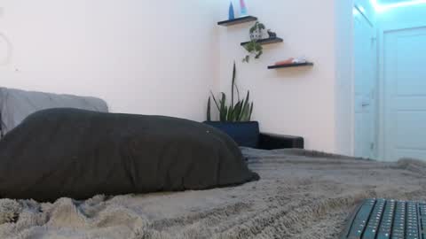 Fallon Gray online show from March 8, 2025, 11:28 pm