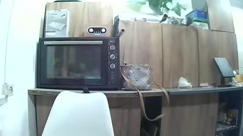 hausewife online show from May 6, 2026, 7:41 pm