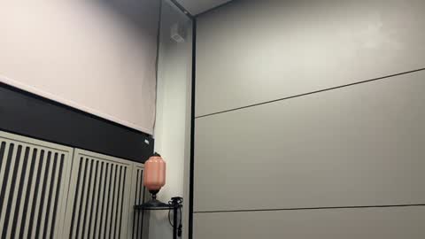 Gattino online show from February 9, 2025, 12:49 am