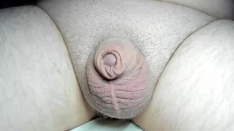 Fatmanscock online show from December 8, 2024, 4:04 am