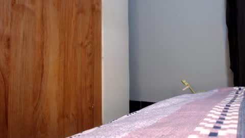 Snapshot of fatpussy_ebony_girl chatting on July 19, 2026, 7:56 am lexie online show from July 19, 2026, 7:56 am