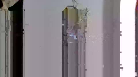 favouriteveronika online show from April 14, 2026, 3:45 am