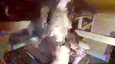 feet__sucker online show from September 22, 2025, 8:22 pm