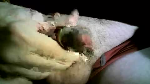 felicaste online show from November 26, 2025, 8:43 pm