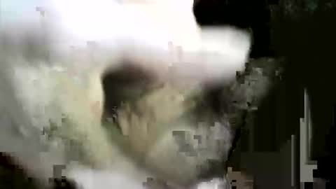 felicaste online show from December 2, 2025, 8:59 pm