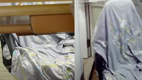 felixlau online show from December 12, 2024, 11:50 am