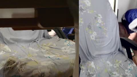 felixlau online show from January 7, 2025, 7:42 am