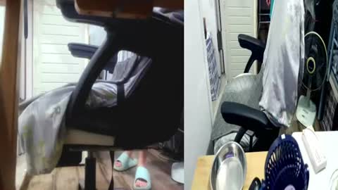 Snapshot of felixlau chatting on July 21, 2026, 6:21 pm felixlau online show from July 21, 2026, 6:21 pm