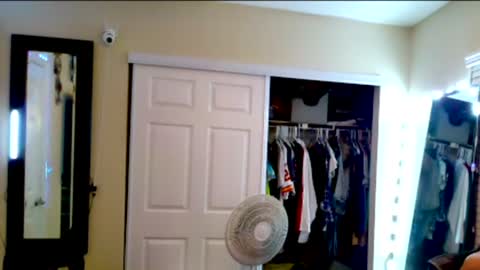 Allie North online show from December 11, 2024, 8:04 am