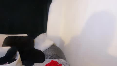 Snapshot of femgirl99 chatting on November 2, 2025, 9:00 am this is justice tricia a bigelow. she was fucking my husband tom girardi online show from November 2, 2025, 9:00 am