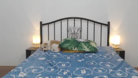 kaylee online show from February 11, 2025, 11:22 pm