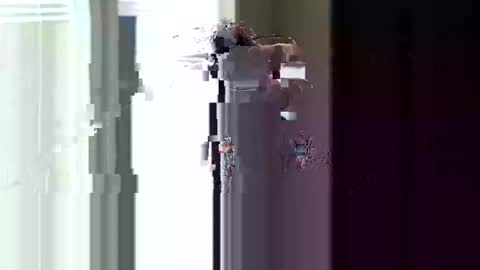 fer28639 online show from April 11, 2026, 4:44 pm