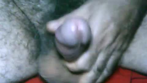 fer_2197 online show from January 2, 2025, 12:46 pm