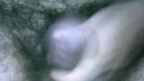 fer_2197 online show from February 6, 2025, 1:54 pm