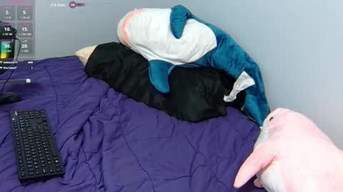 FE fee online show from January 31, 2025, 10:21 pm