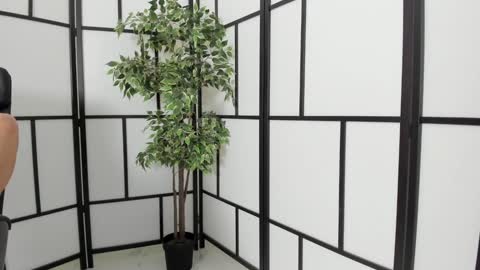 fetish_life online show from January 11, 2025, 5:51 pm