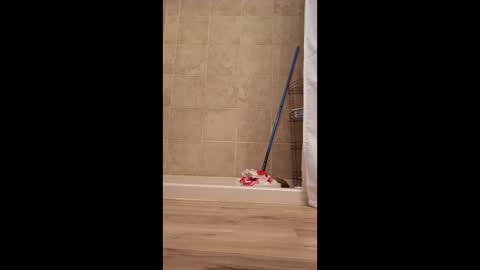 fetishdad863 online show from April 22, 2026, 2:18 pm