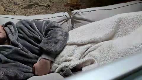 Fid online show from January 20, 2025, 10:40 am