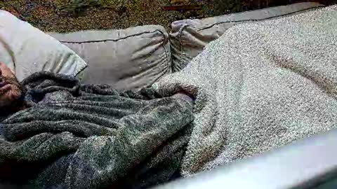 Fid online show from February 24, 2025, 1:31 pm