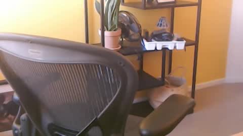 Snapshot of filip907 chatting on September 25, 2025, 11:25 am filip907 online show from September 25, 2025, 11:25 am