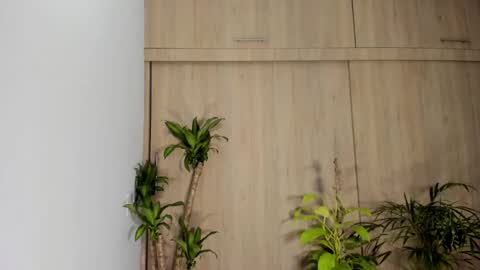 filletatouee online show from November 16, 2025, 1:44 am