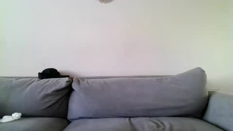 MilfnDaddy online show from December 27, 2024, 6:53 pm