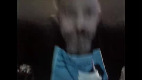 Brad online show from November 1, 2025, 12:18 pm