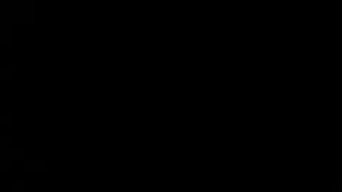 fitonetoo online show from December 31, 2024, 12:46 pm