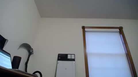  Links in Bio below online show from November 21, 2025, 12:48 pm