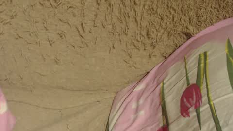 say meow and send tip  online show from December 9, 2024, 7:07 pm